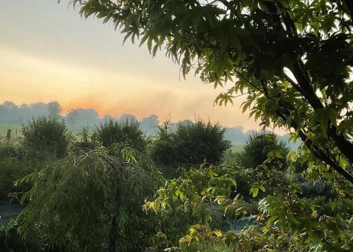 Les Herbes Flottantes Englesqueville-en-Auge Exterior foto